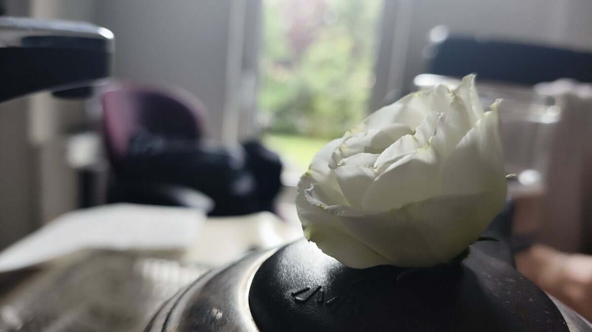 相见欢