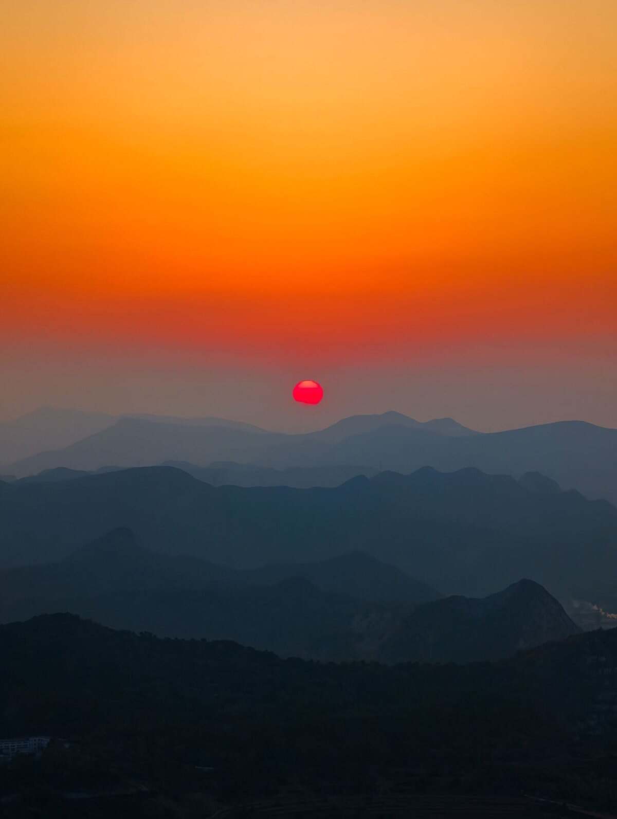 虞美人